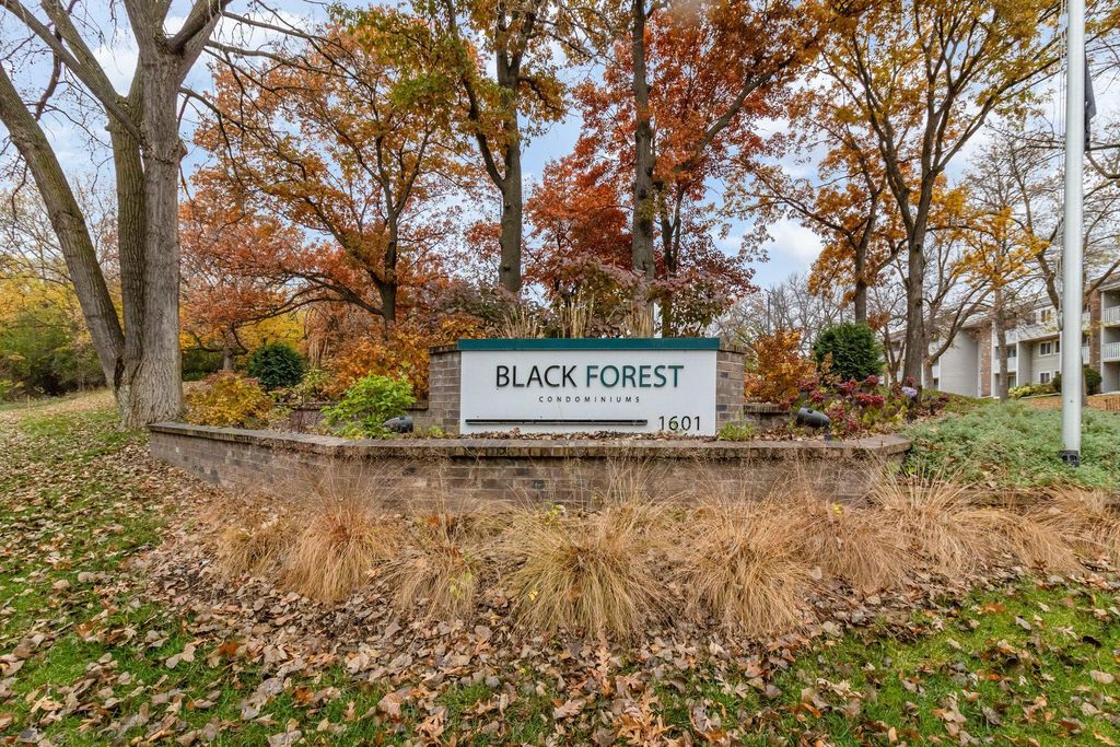 Photo of 1601 N Innsbruck Drive NE #123, Fridley, MN 55432 (MLS # 7054070)