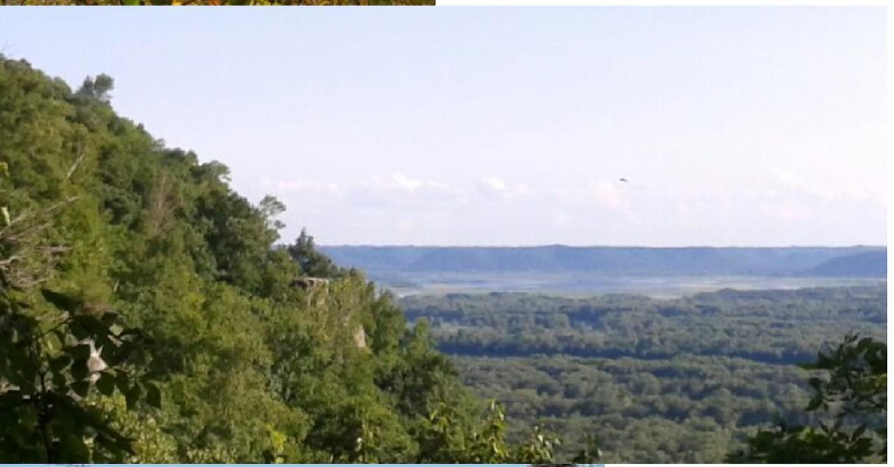 Lot 1 Alma Hills
