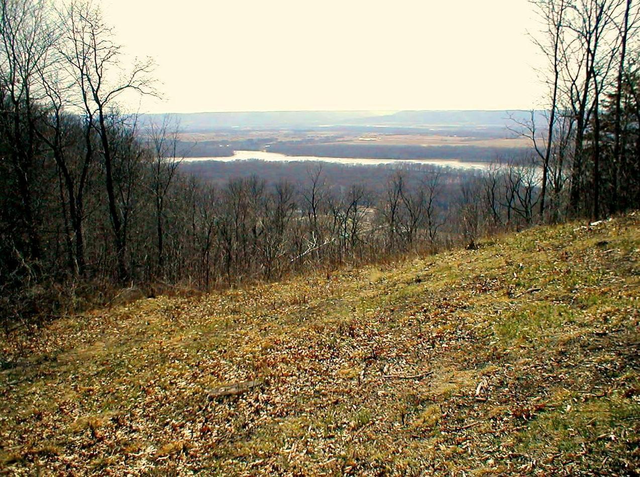 Lot 1 Alma Hills