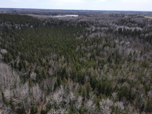 ADDRESS PRIVATE, EFFIE, MN 56639 - Image e90d6bced9ffa48dc2b06ec86c105e85/3654993516