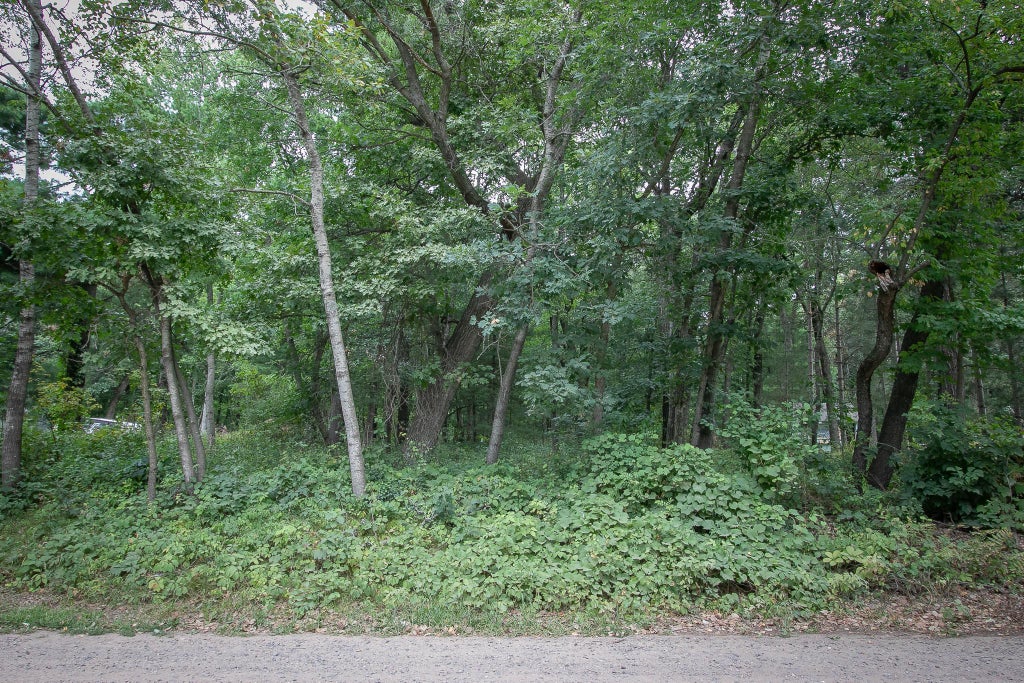 Photo of TBD 241st Avenue NE, Stacy, MN 55079 (MLS # 7134702)