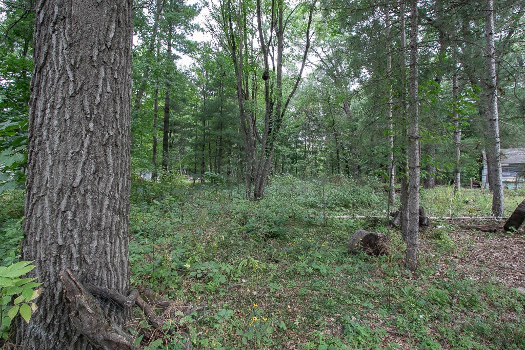 Photo of TBD 241st Avenue NE, Stacy, MN 55079 (MLS # 7134702)