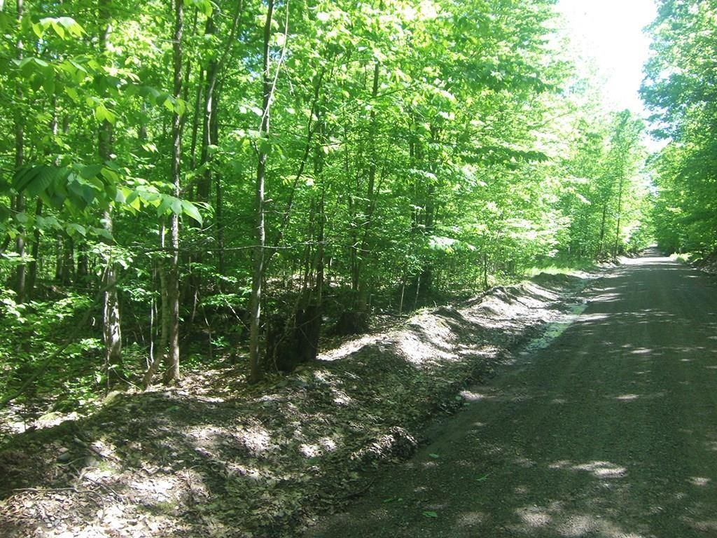 Photo of 4.85 Acres Joes Road, Conrath, WI 54731 (MLS # 7064680)