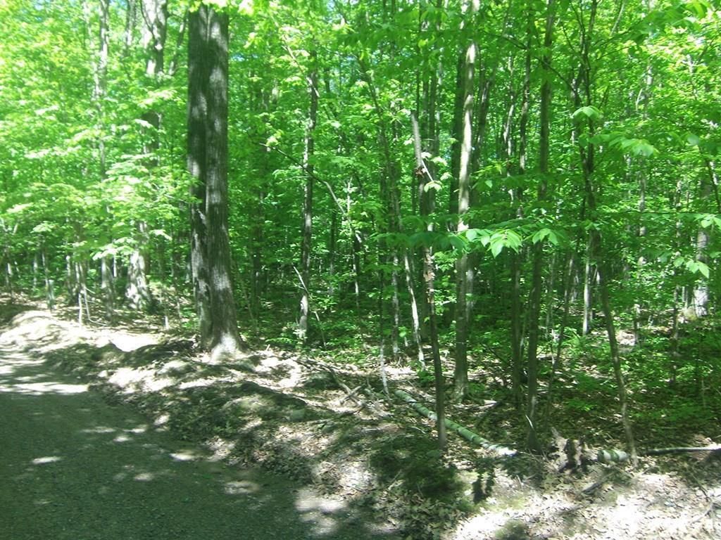 Photo of 4.85 Acres Joes Road, Conrath, WI 54731 (MLS # 7064680)