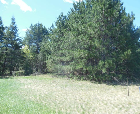 RED SEQUOIA DR, BAXTER, MN 56425 - Image e982fd43b39bc0d91ae58a4dc2d65467/562021693