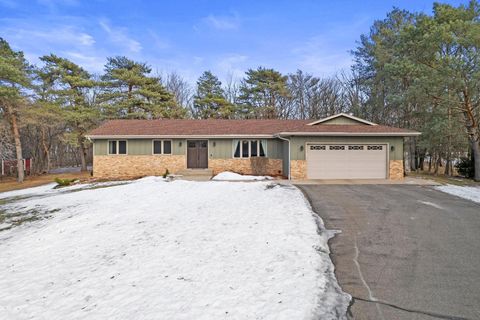 Photo of 16313 Marmoset Street NW, Anoka, MN 55303 (MLS # 7014162)
