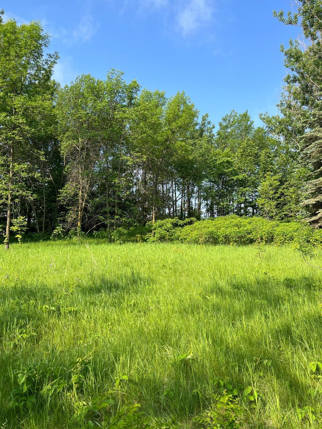 Photo of TBD Wild Rose Trail, Frazee, MN 56544 (MLS # 7070759)