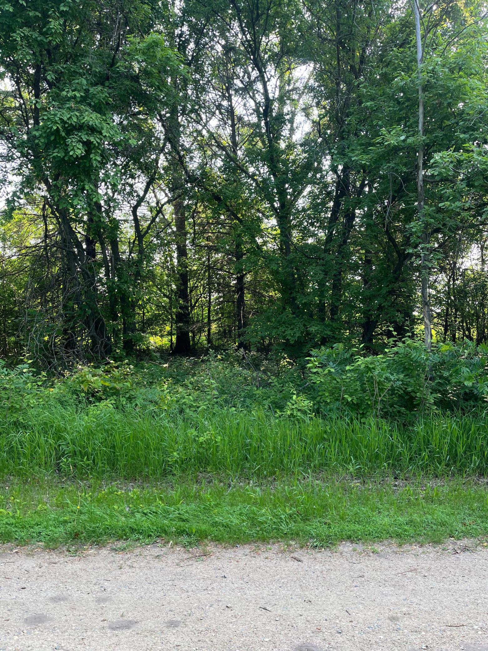TBD Wild Rose Trail