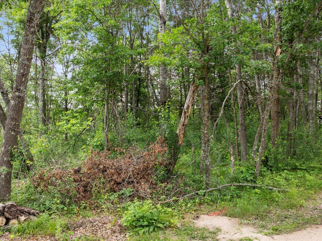 TBD E Cree Bay Circle