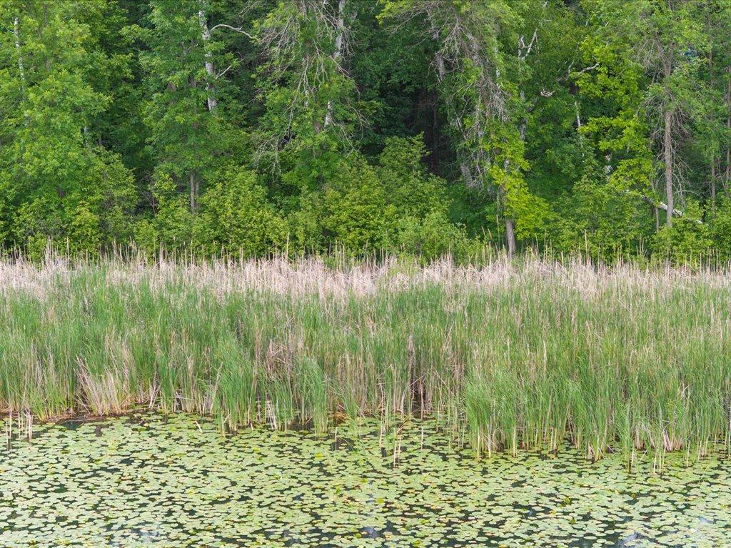 TBD E Cree Bay Circle