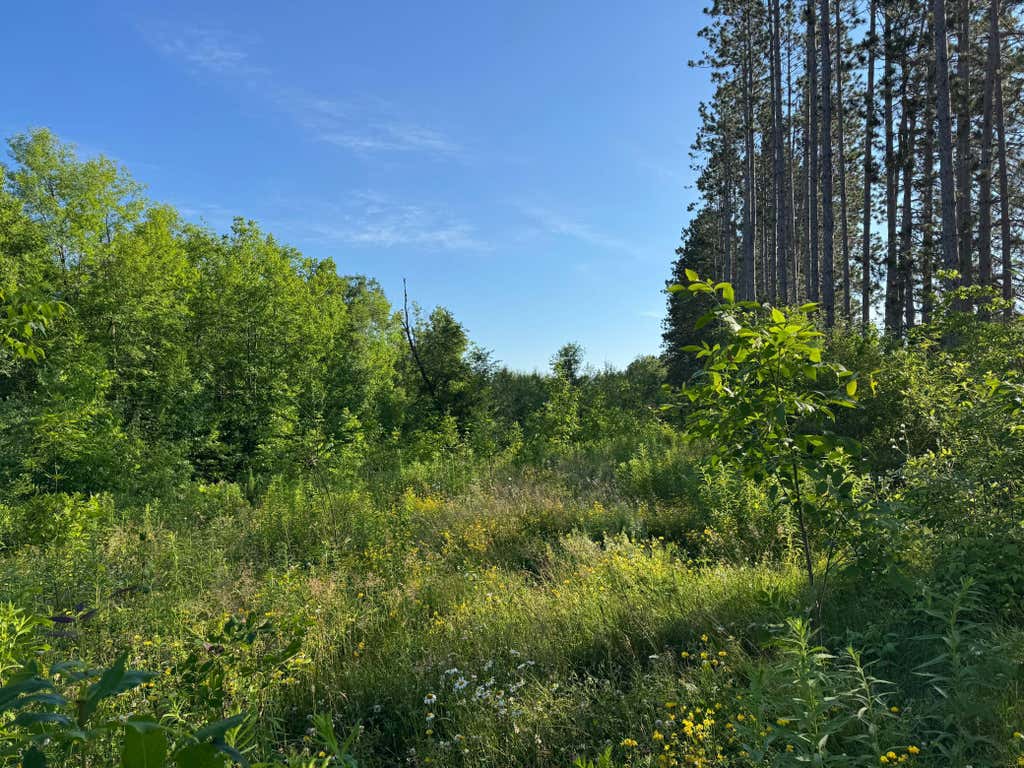 Photo of TBD-2 N Riverside Road, Moose Lake, MN 55767 (MLS # 7108144)
