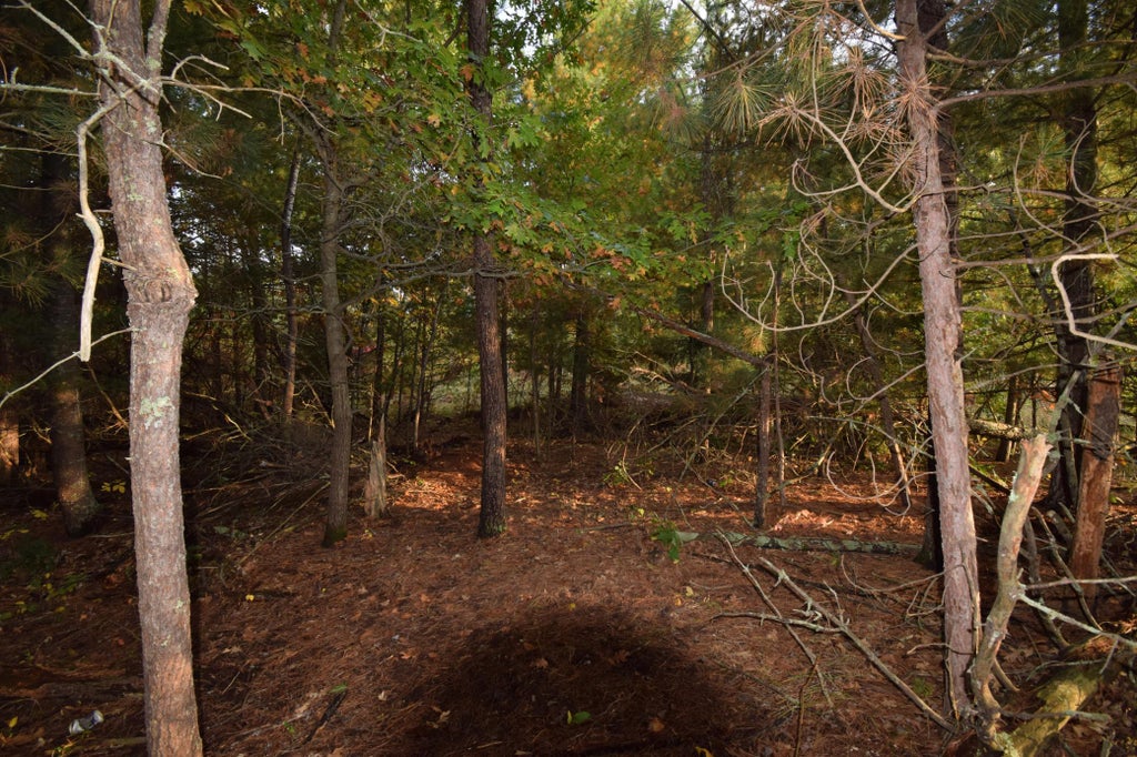 Photo of Lots 5-7 S First Avenue, Danbury, WI 54830 (MLS # 7156093)