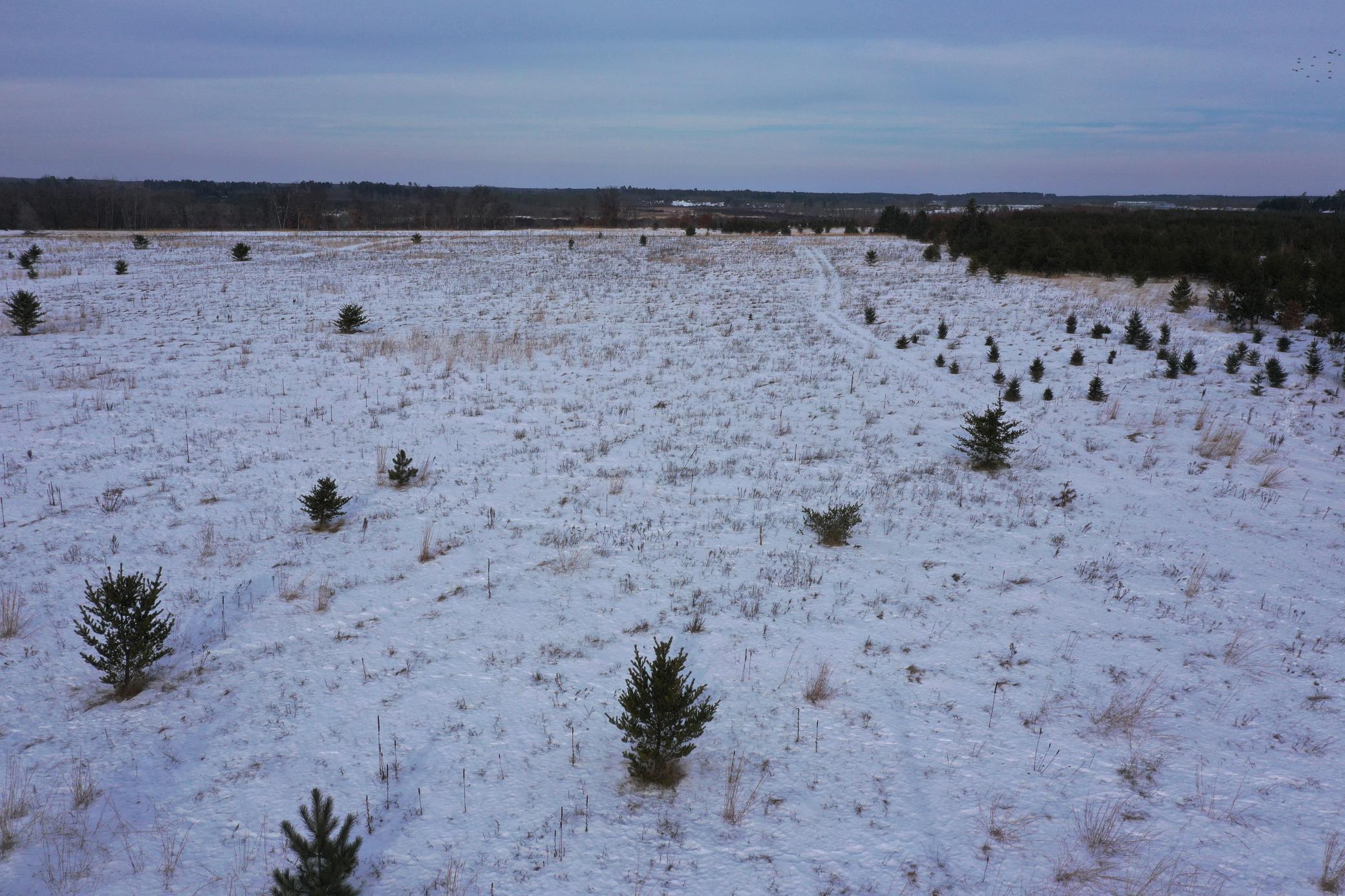 14672 Blueberry Bridge Road