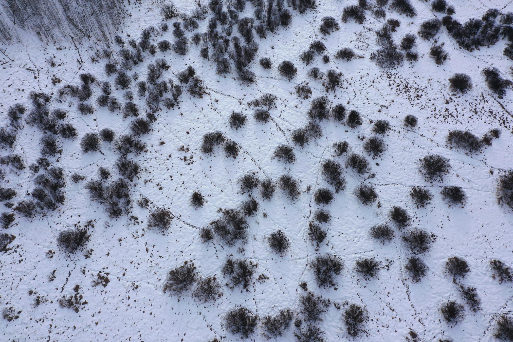 14672 Blueberry Bridge Road