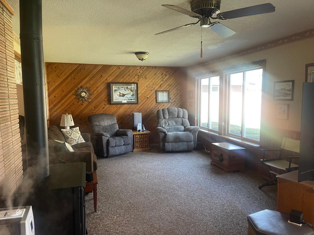 Photo of 207 E Hollett Street, Tracy, MN 56175 (MLS # 7050035)
