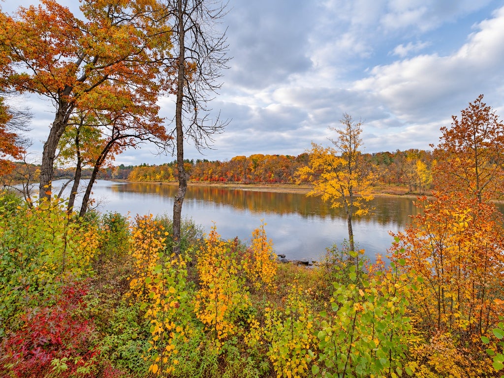 Photo of 12222 Camwood Trail, Baxter, MN 56425 (MLS # 7159856)