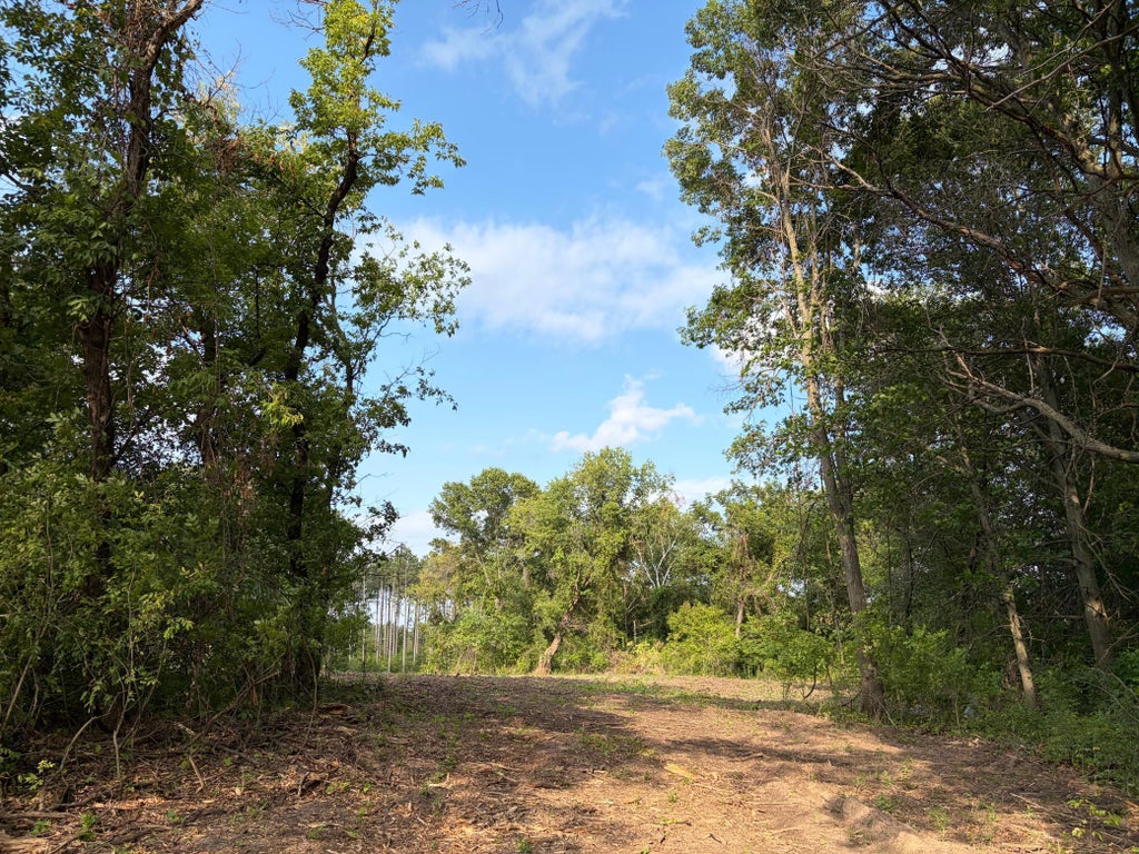 Photo of (Lot 7) TBD Tulip Street NW, Stanchfield, MN 55080 (MLS # 7119075)