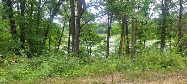 TBD CEDAR ROAD, CUSHING, MN 56443 - Image ebf983cefc1de755bb61a1fb4f945cf8/8433664