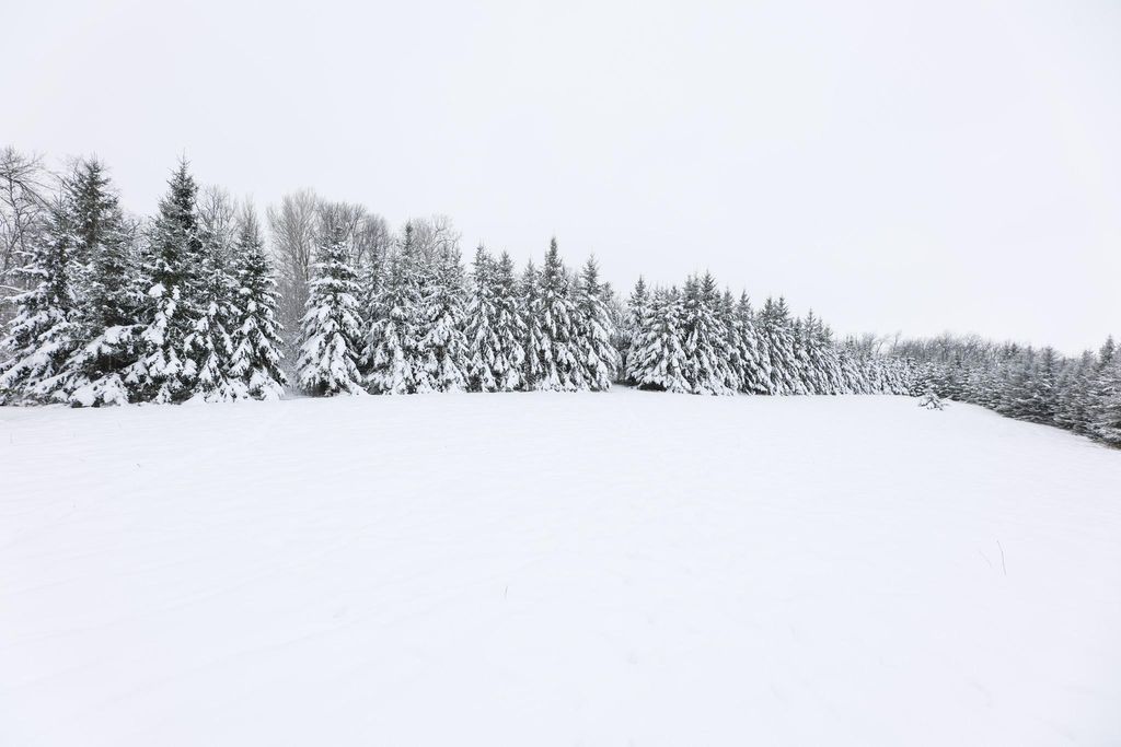 Photo of 18 AC Solem Lake Road SW, Kensington, MN 56343 (MLS # 6825605)