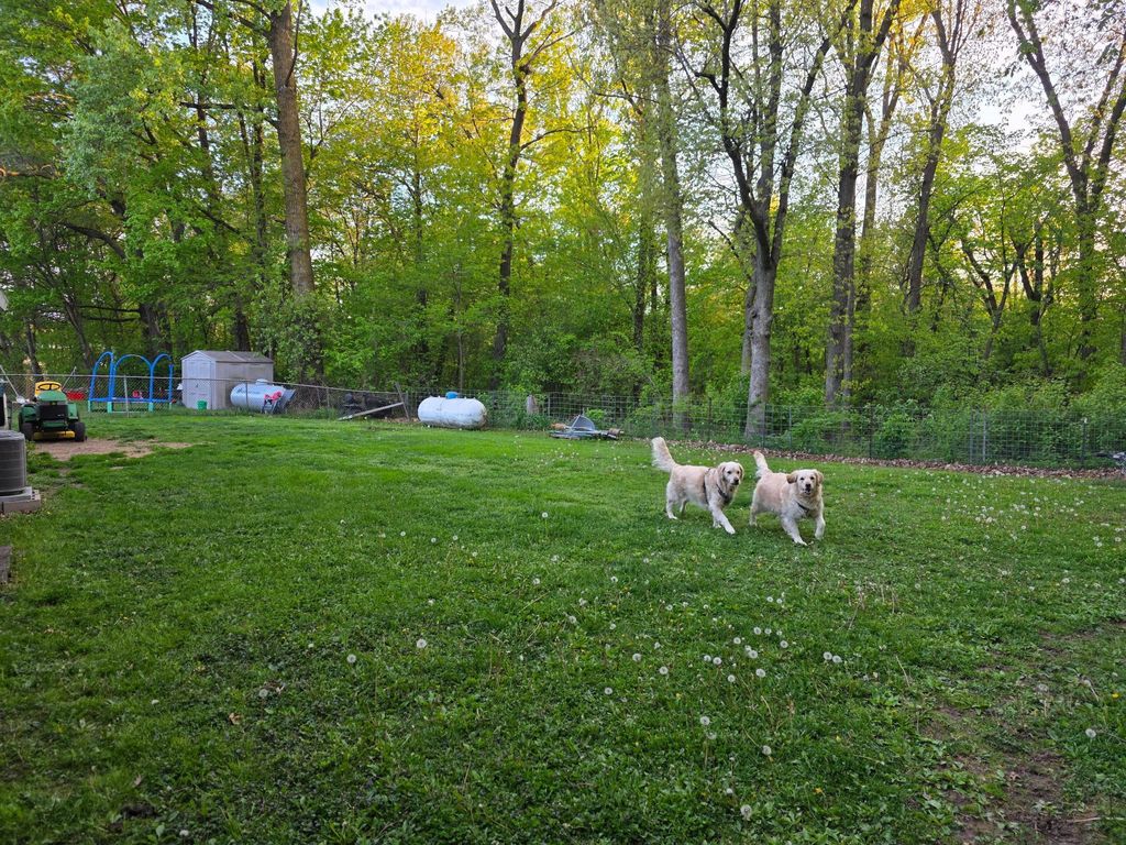 Photo of 310 235th Street, Osceola, WI 54020 (MLS # 7078287)