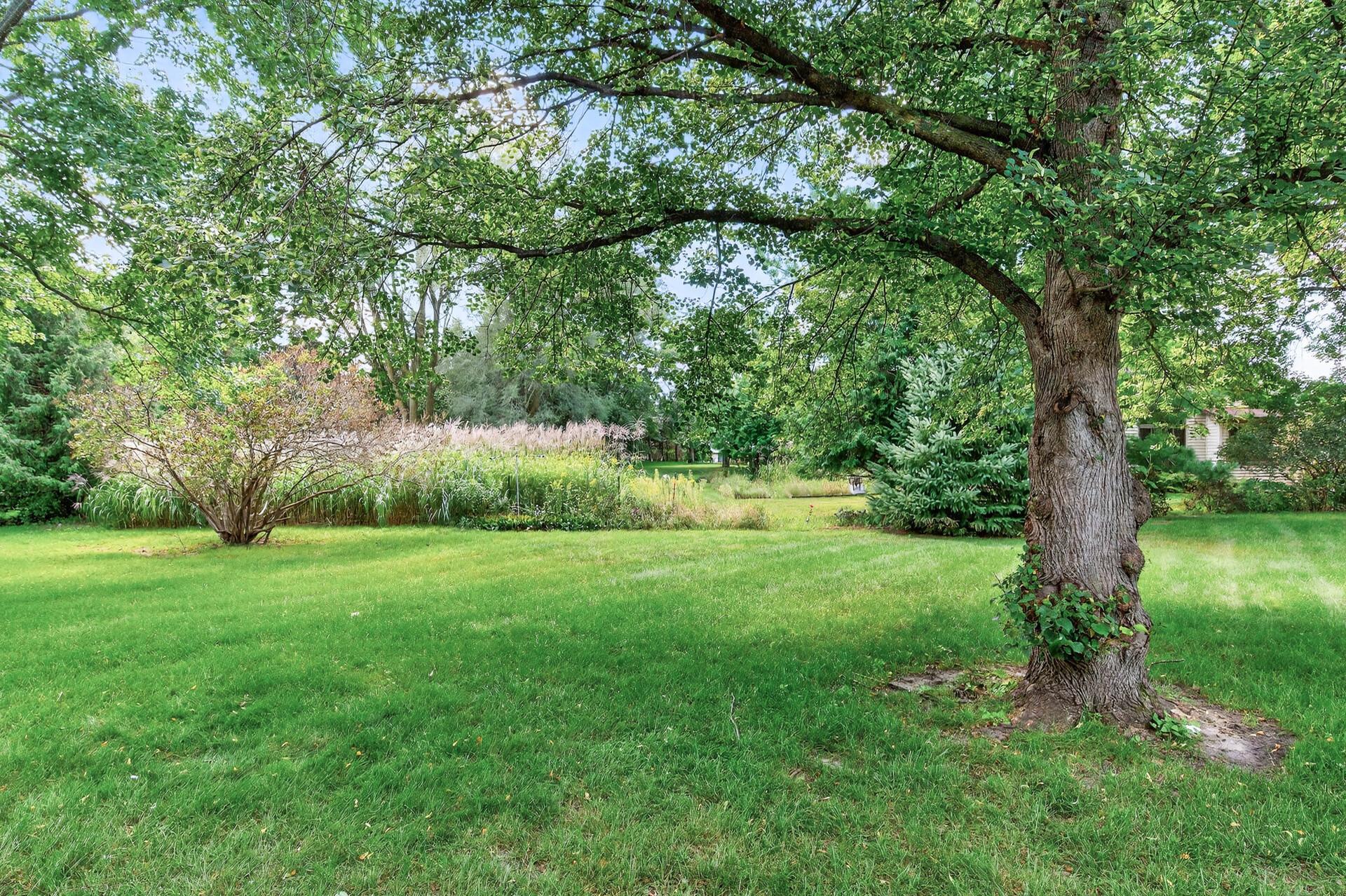 5657 Chatsworth Street N