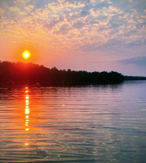 TBD 330th Avenue Erie Twp MN 56578