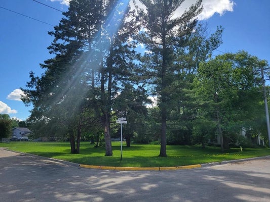 104 FRAZEE AVE S, NEW YORK MILLS, MN 56567 - Image ece36b3cac42765c8d9180e9b40596dc/2740830876