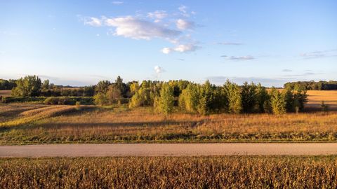 Photo of xxx 225th Street, Litchfield, MN 55355 (MLS # 6793210)