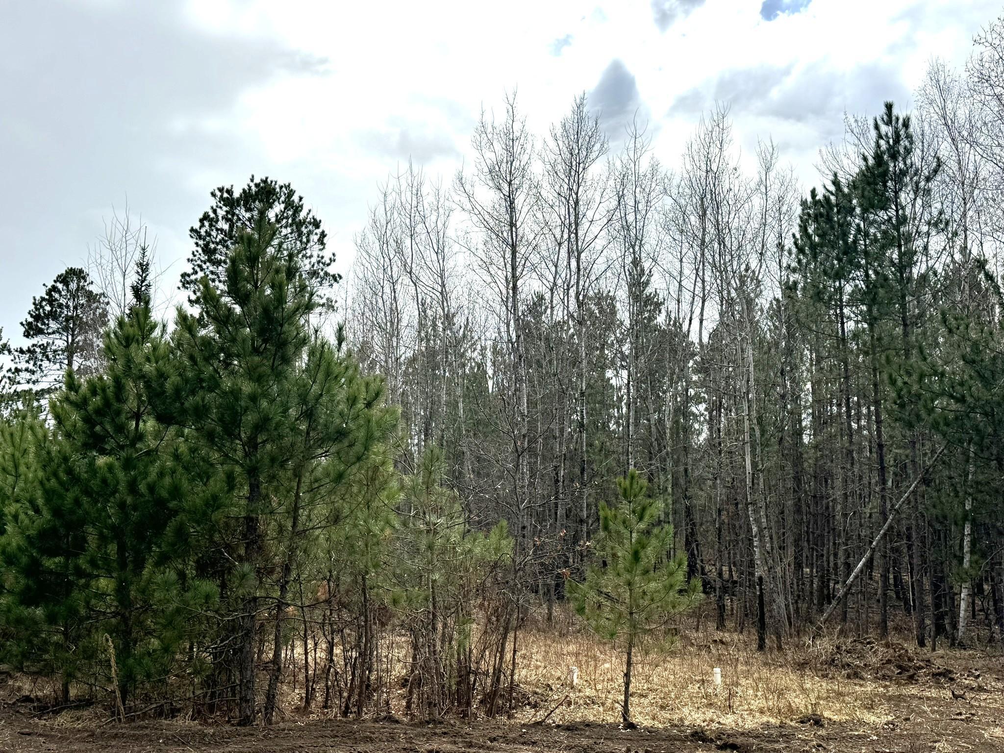 24776 Destination Drive