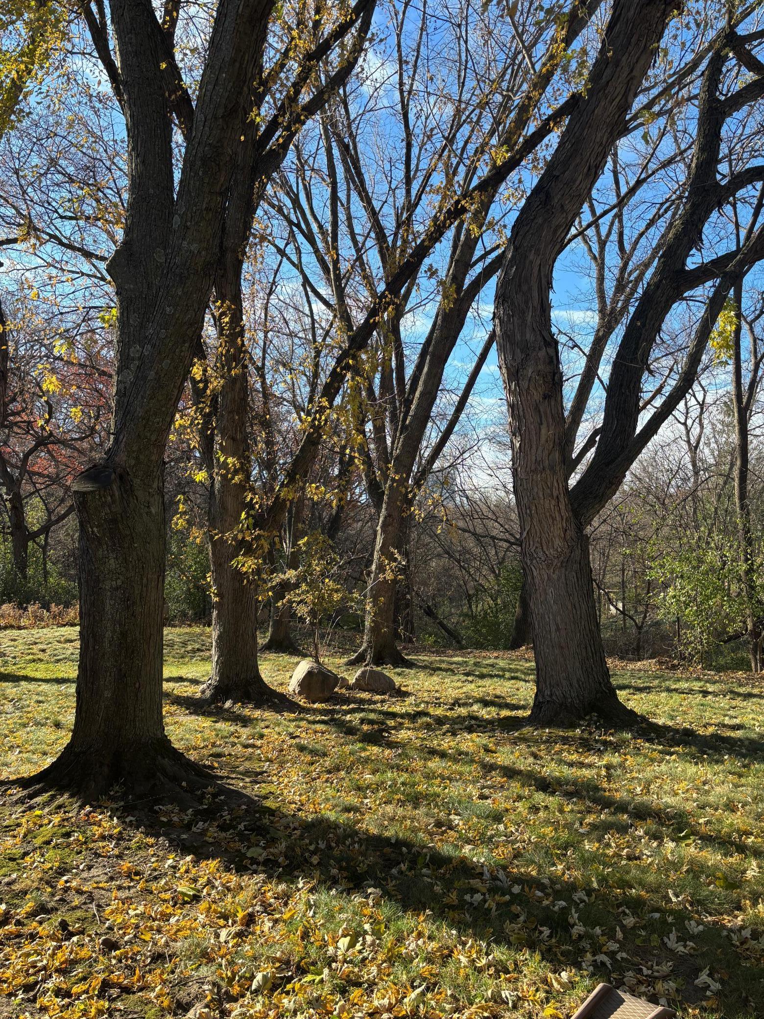 13204 Parkwood Drive