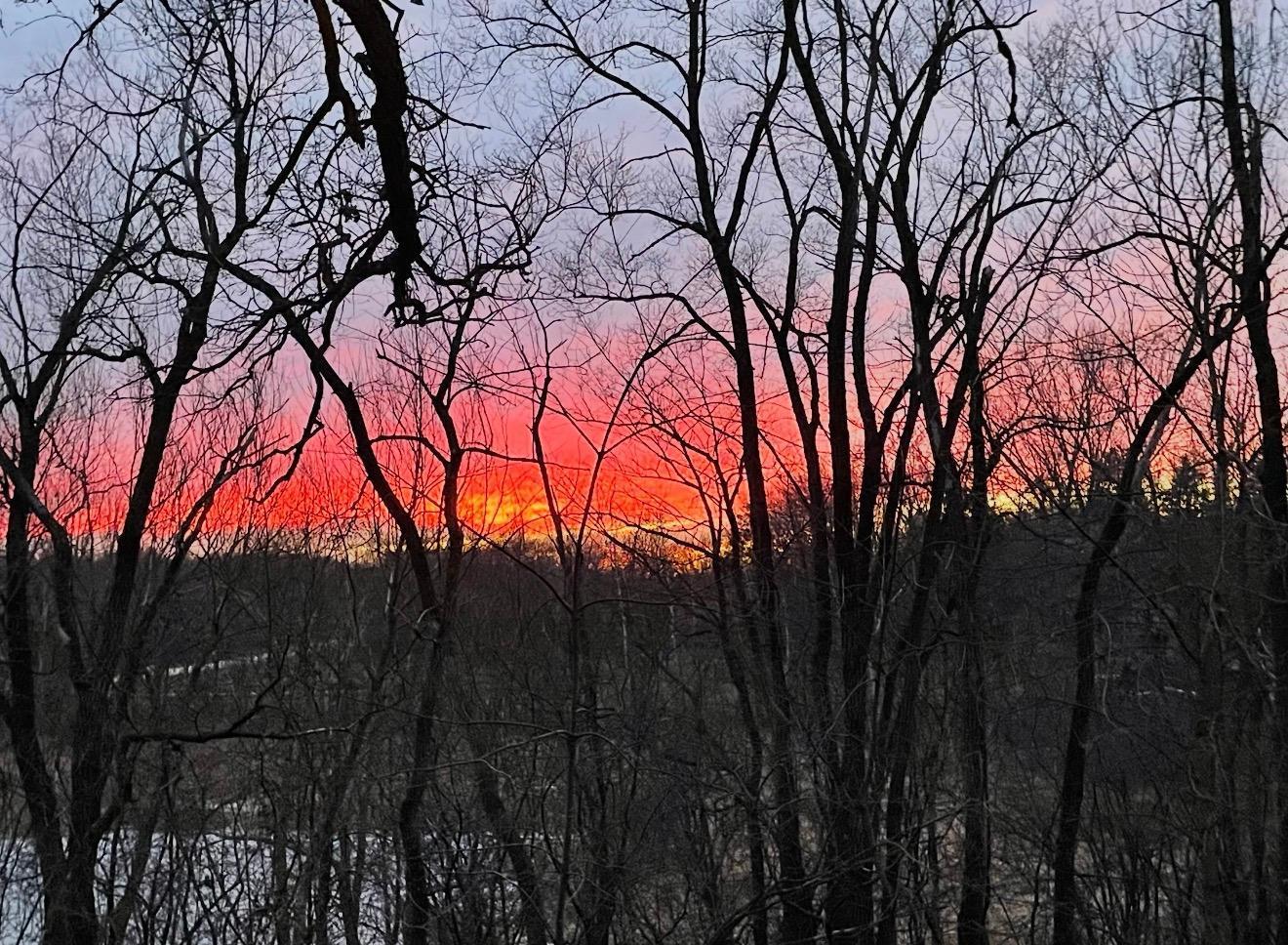 23400 Woodland Ridge Drive