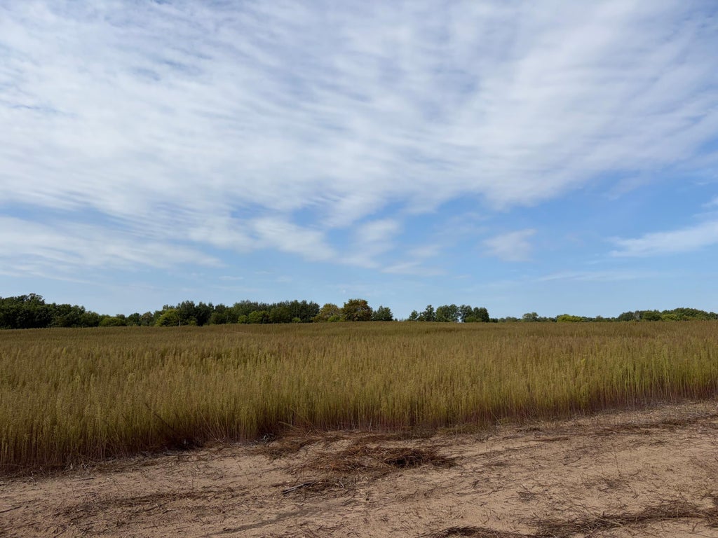 Photo of TBD (L3-SM East) Yellowpine Court NW, Isanti, MN 55040 (MLS # 7150366)