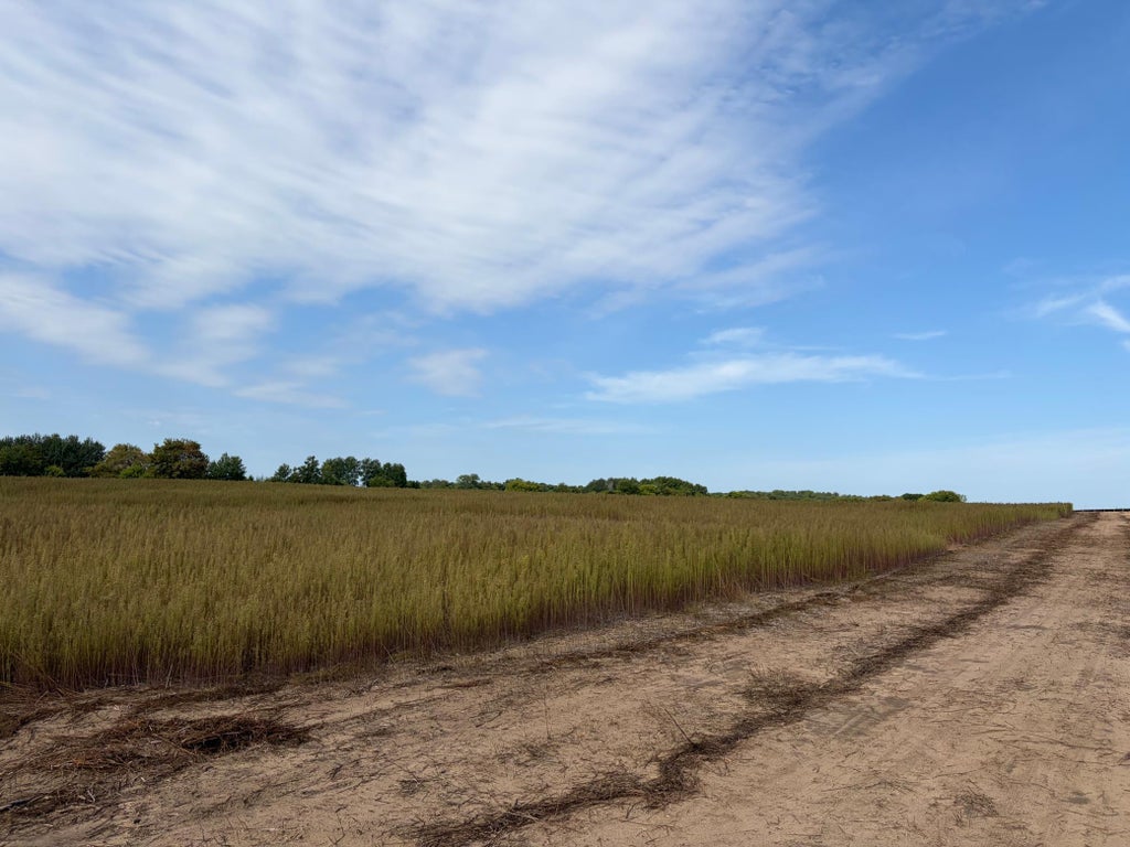 Photo of TBD (L3-SM East) Yellowpine Court NW, Isanti, MN 55040 (MLS # 7150366)