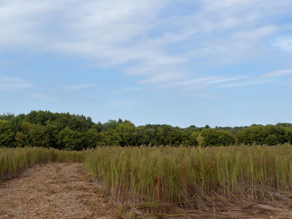 Photo of TBD (L6-SM East) Yellowpine Court NW, Isanti, MN 55040 (MLS # 7150374)