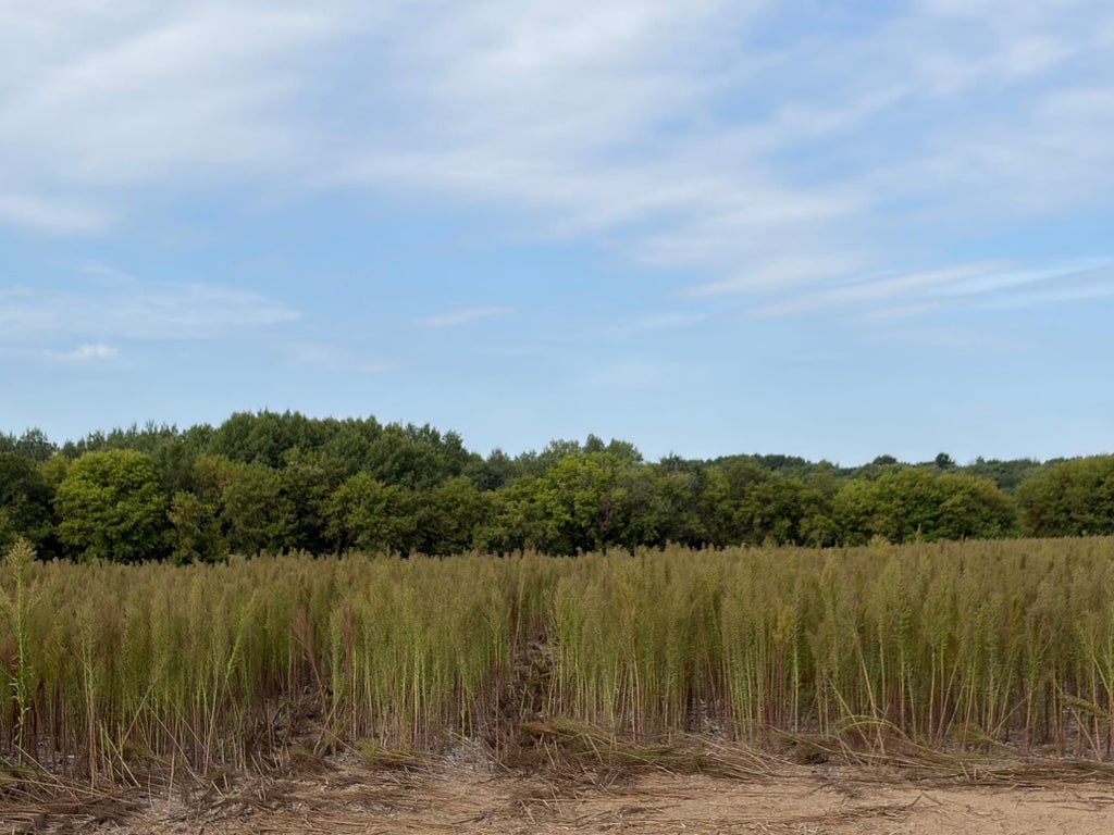 Photo of TBD (L6-SM East) Yellowpine Court NW, Isanti, MN 55040 (MLS # 7150374)