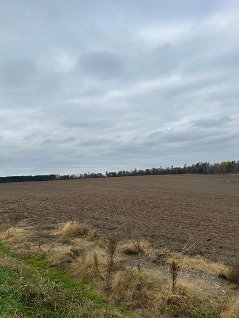 142 AC Basswood Lake Rd Ponsford MN 56575