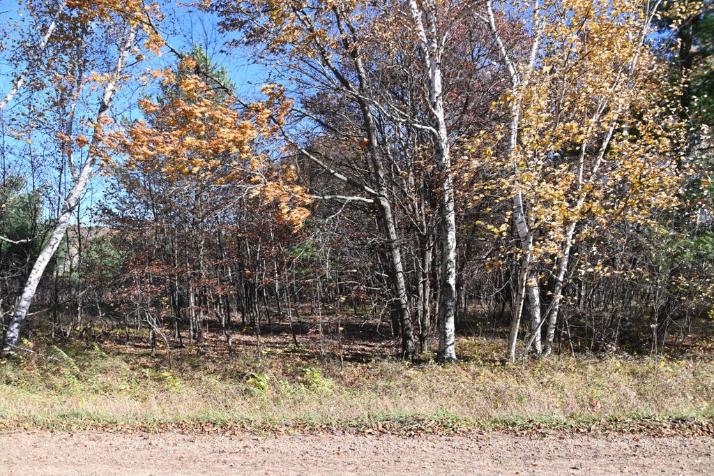Photo of TBD Pacer Loop, Browerville, MN 56438 (MLS # 7137212)