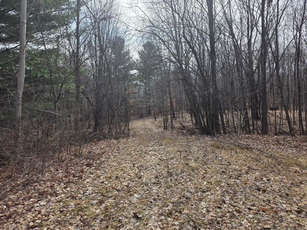 Photo of TBD 1st Street, Taylors Falls, MN 55084 (MLS # 7062174)
