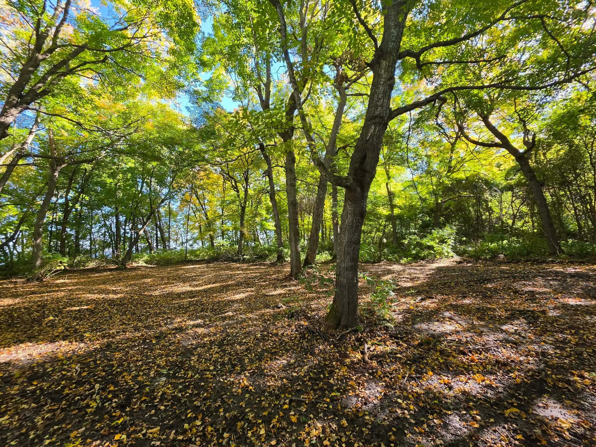 TBD Ottertail Point Dr NW