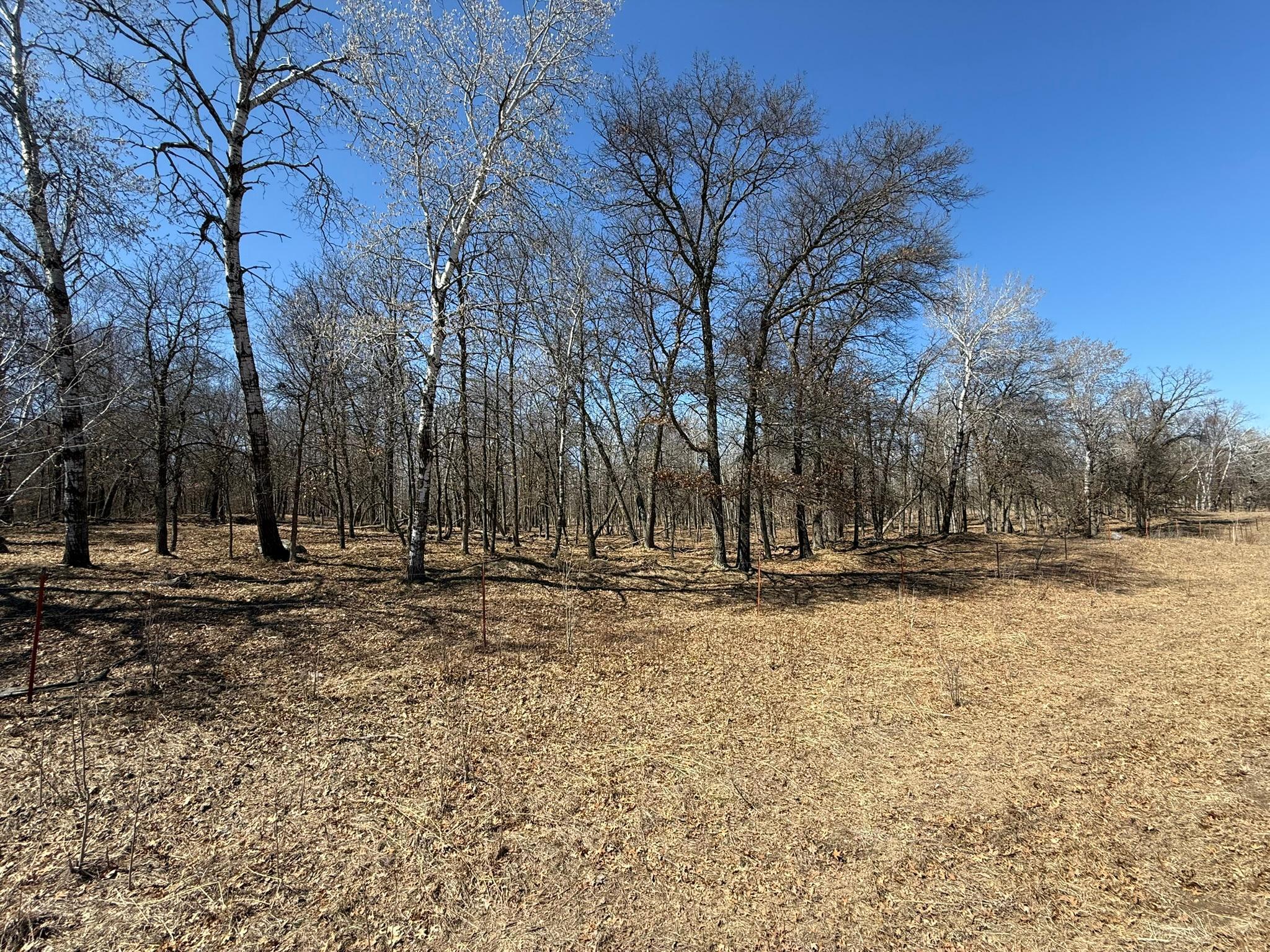 Tract J 175th Avenue