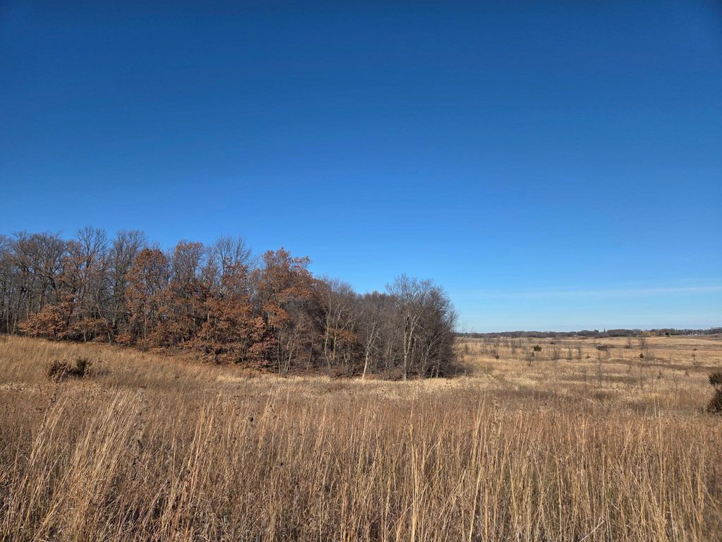 Photo of 36999 141st Lane, Montgomery, MN 56069 (MLS # 7008425)