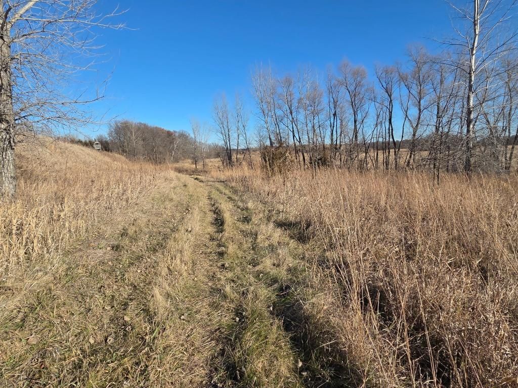 Photo of 36999 141st Lane, Montgomery, MN 56069 (MLS # 7008425)