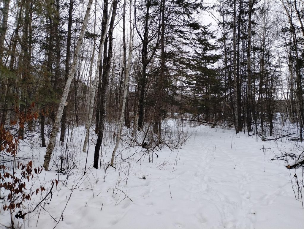 Photo of 2514 294th Avenue, Brook Park, MN 55007 (MLS # 7009971)