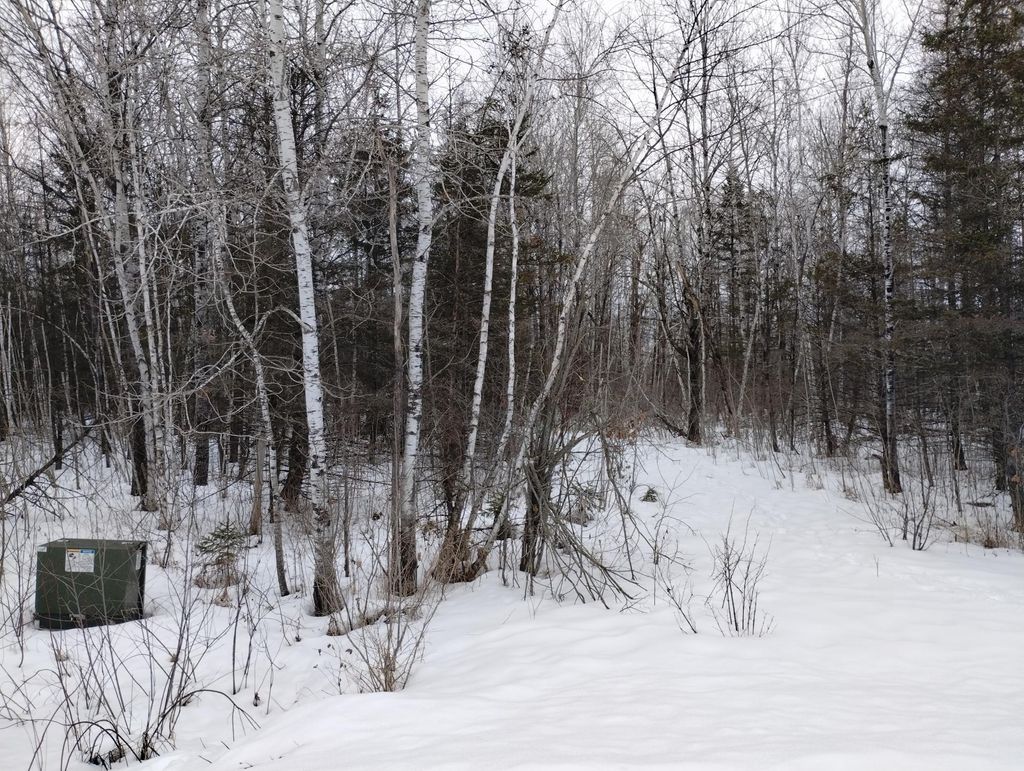 Photo of 2514 294th Avenue, Brook Park, MN 55007 (MLS # 7009971)