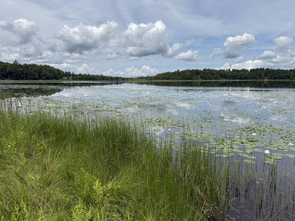 Photo of 1702 Kerr Lake Drive NW, Hackensack, MN 56452 (MLS # 7112291)