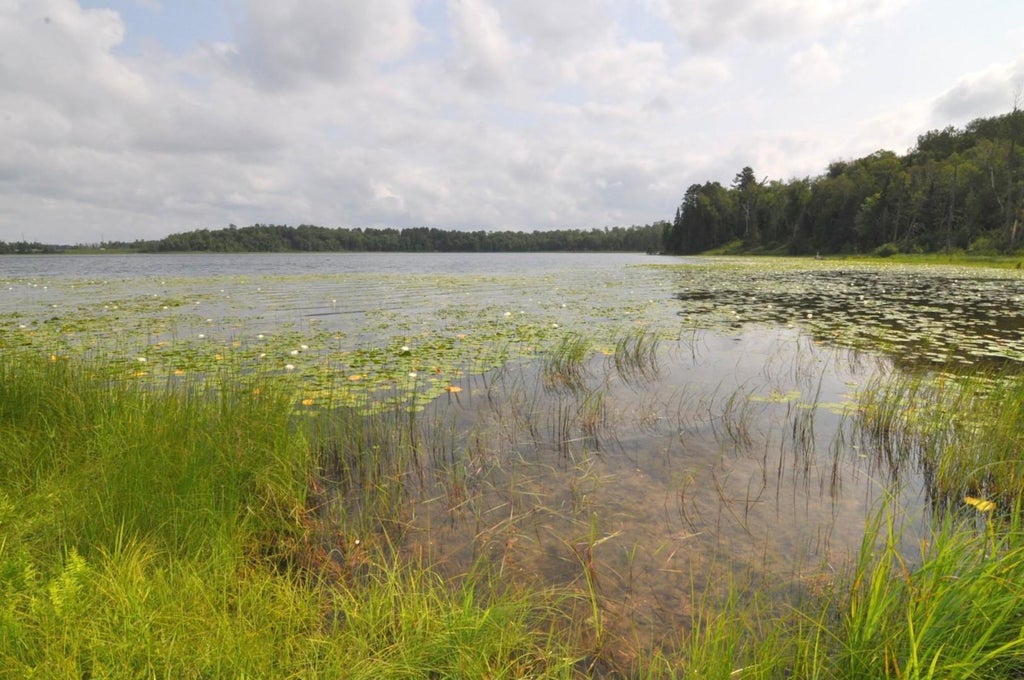 Photo of 1702 Kerr Lake Drive NW, Hackensack, MN 56452 (MLS # 7112291)