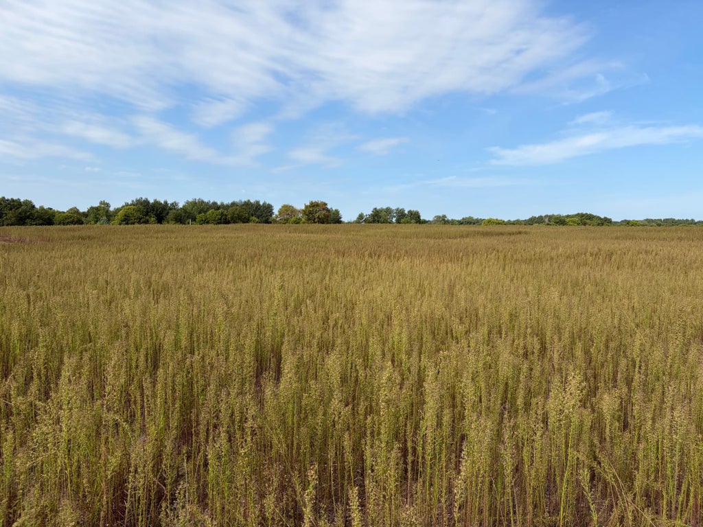 Photo of TBD (L2-SM East) Yellowpine Court NW, Isanti, MN 55040 (MLS # 7150365)