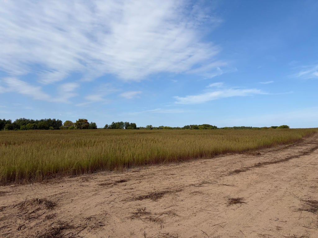Photo of TBD (L2-SM East) Yellowpine Court NW, Isanti, MN 55040 (MLS # 7150365)