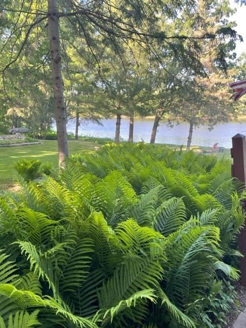 Scandia, Minnesota, 55047, United States, 2 Bedrooms Bedrooms, ,1 BathroomBathrooms,Residential,Active,2031780