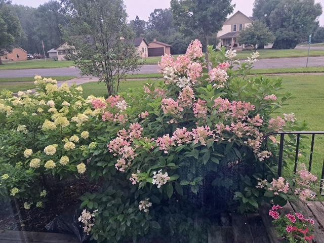 524 Irving Avenue SW